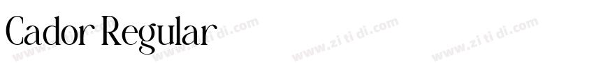 Cador Regular字体转换